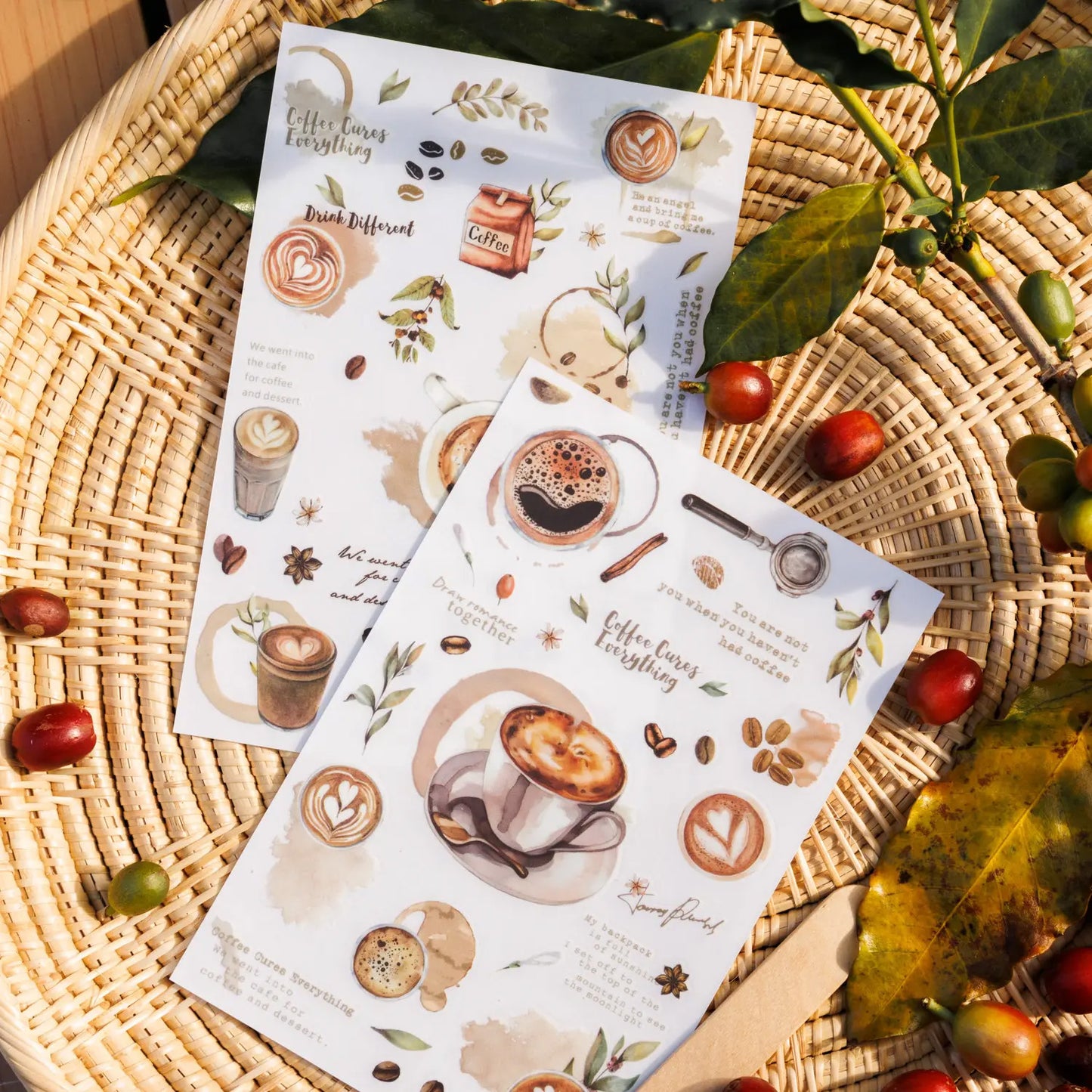 Coffee Beans