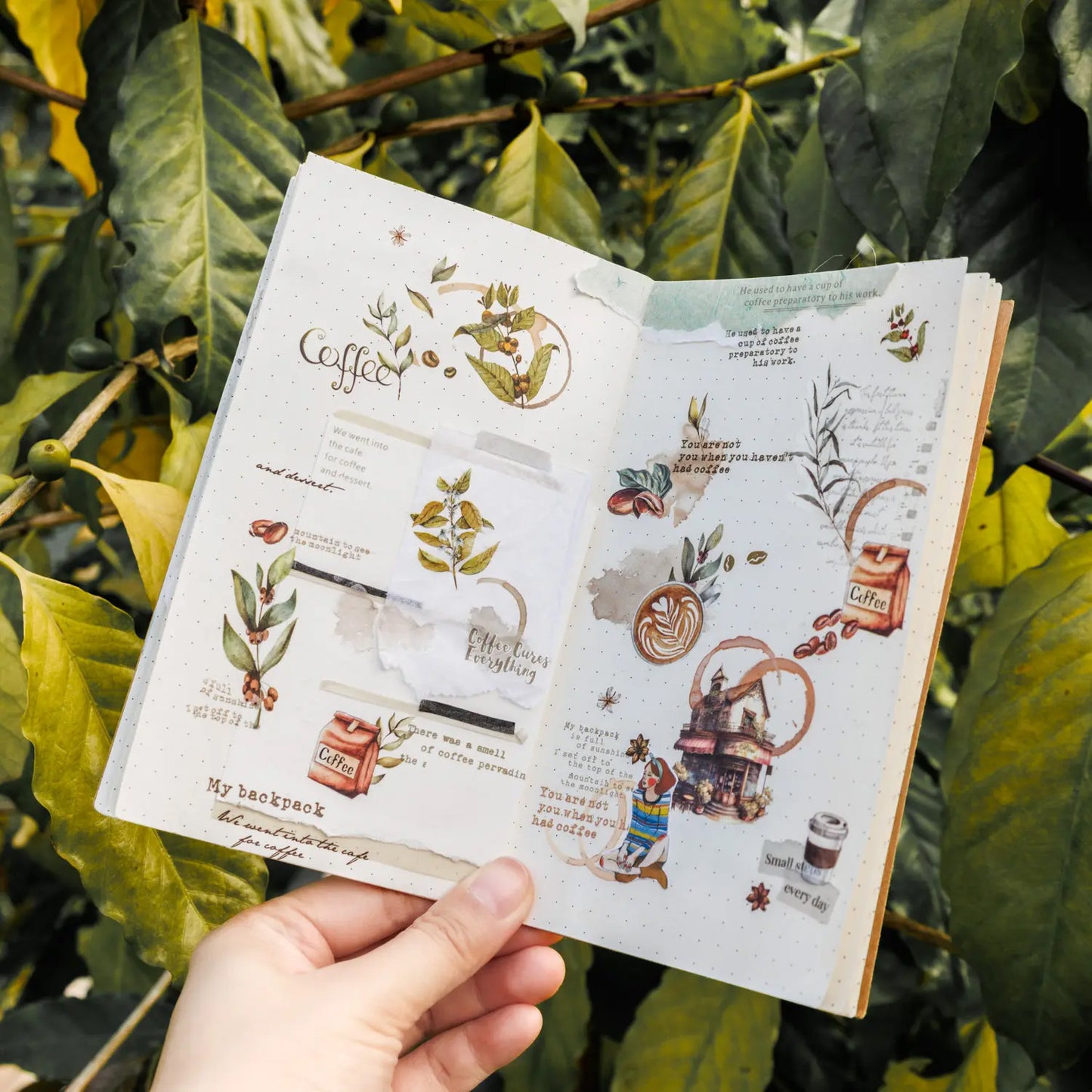 Coffee Beans