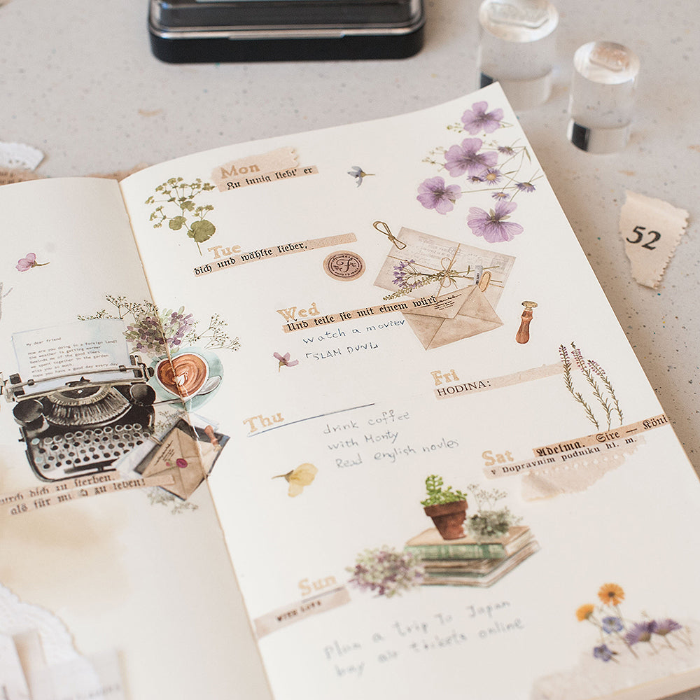 MU LIFESTYLE | Transfers - 214