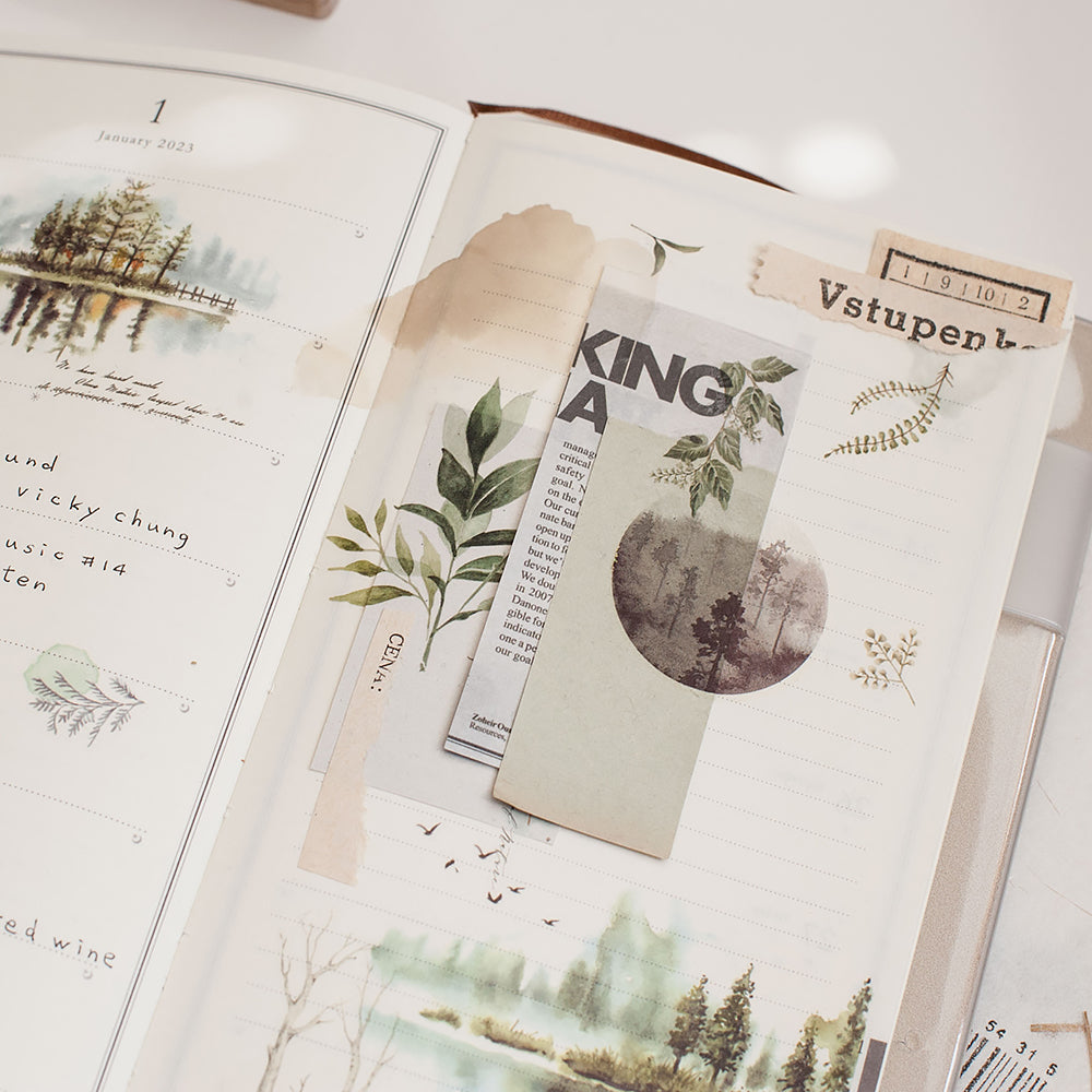 MU LIFESTYLE | Transfers - 216