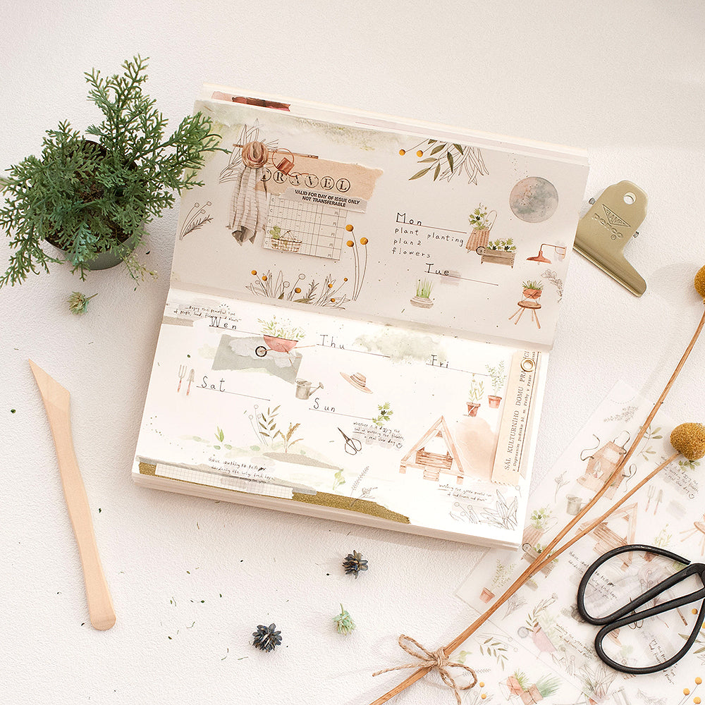 MU LIFESTYLE | Transfers - 217