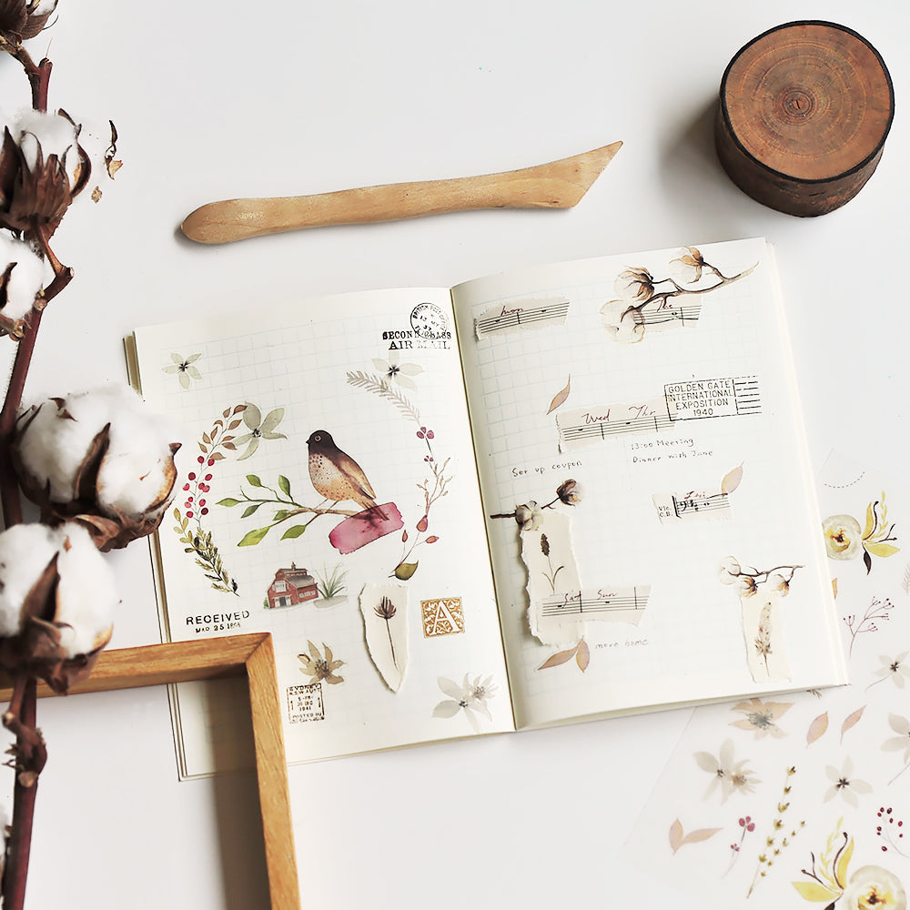 MU LIFESTYLE | Transfers - 036