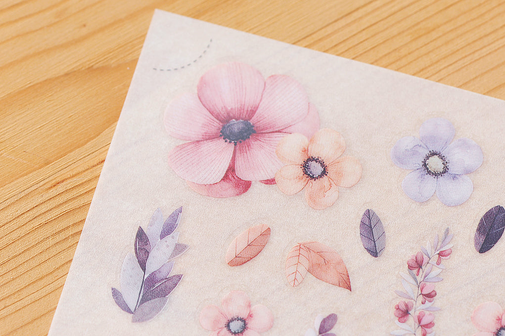 MU LIFESTYLE | Transfers - 040