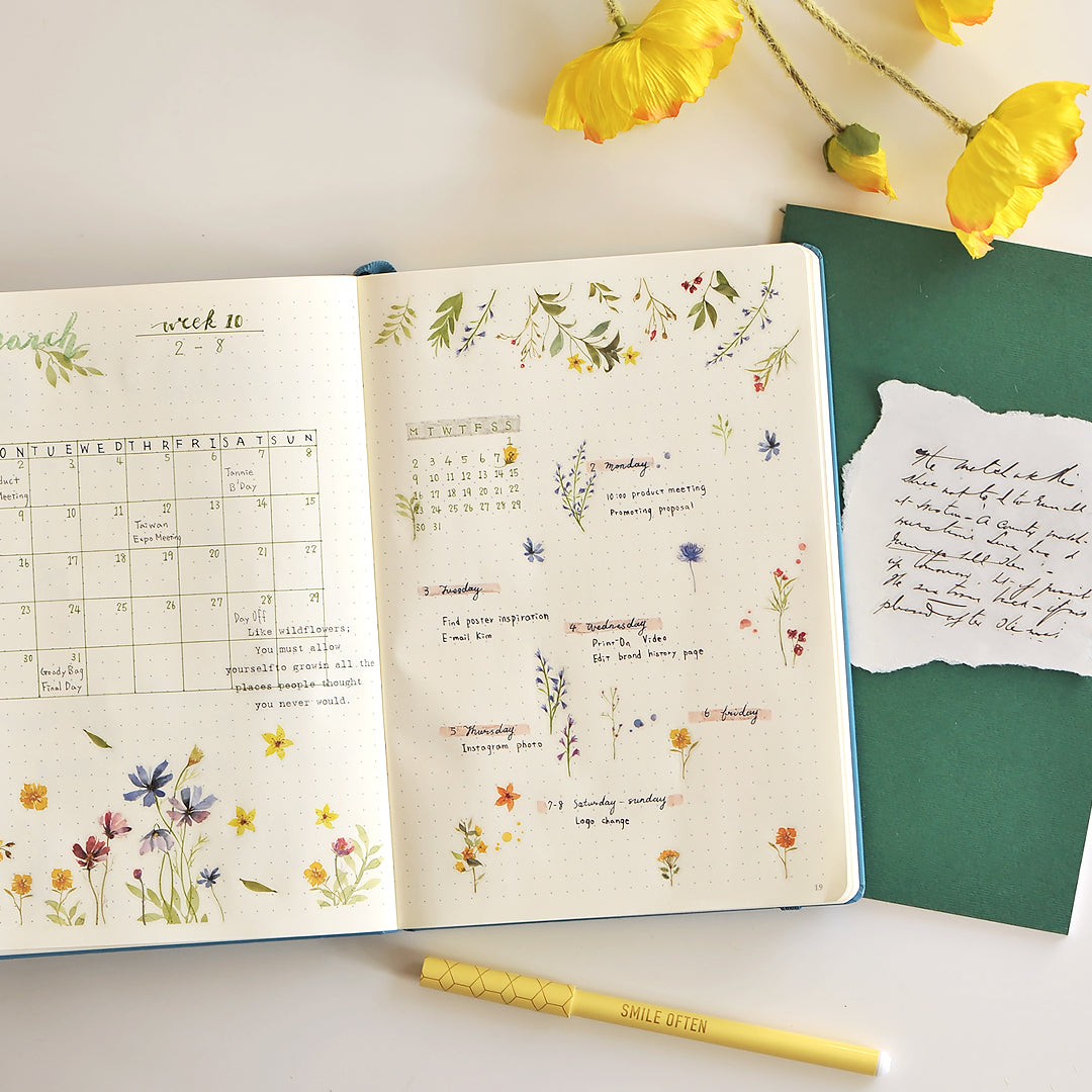 MU LIFESTYLE | Transfers - 121