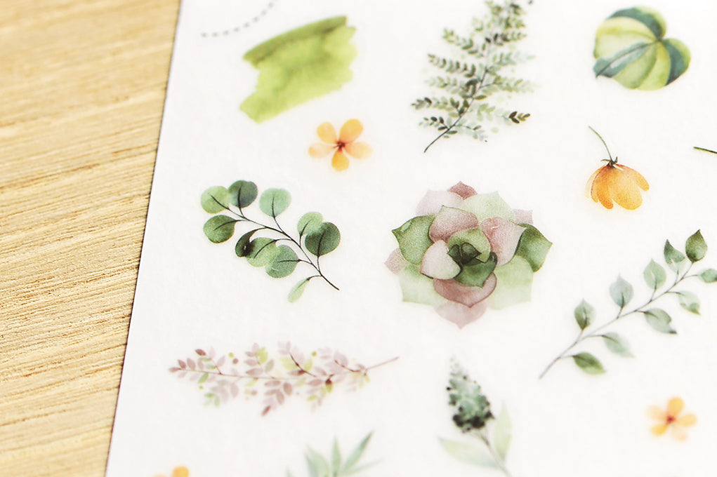 MU LIFESTYLE | Transfers - 123