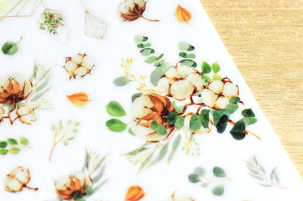 MU LIFESTYLE | Transfers - 144