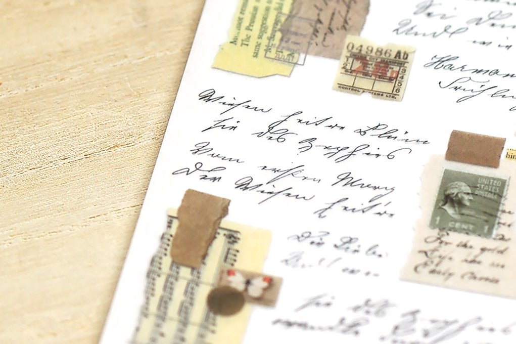 MU LIFESTYLE | Transfers - 162