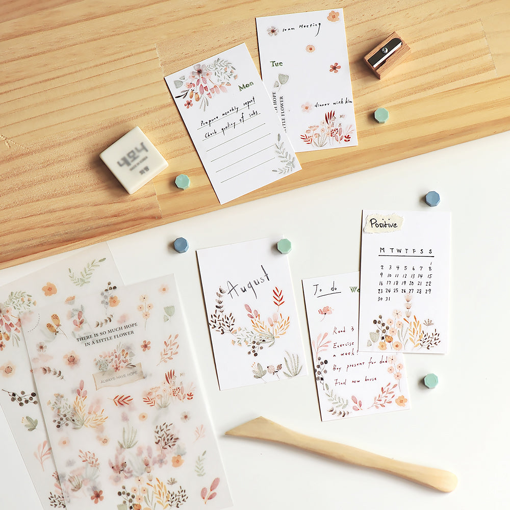 MU LIFESTYLE | Transfers - 174