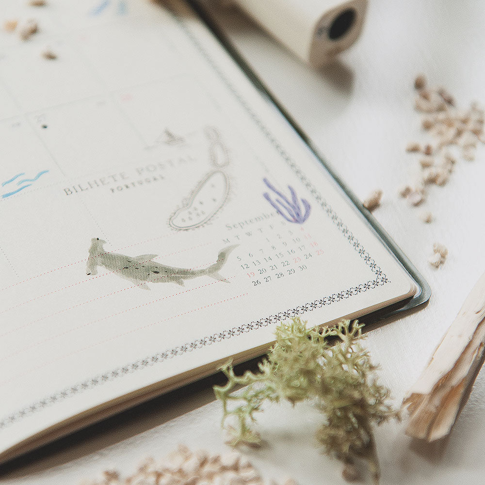 MU LIFESTYLE | Transfers - 198