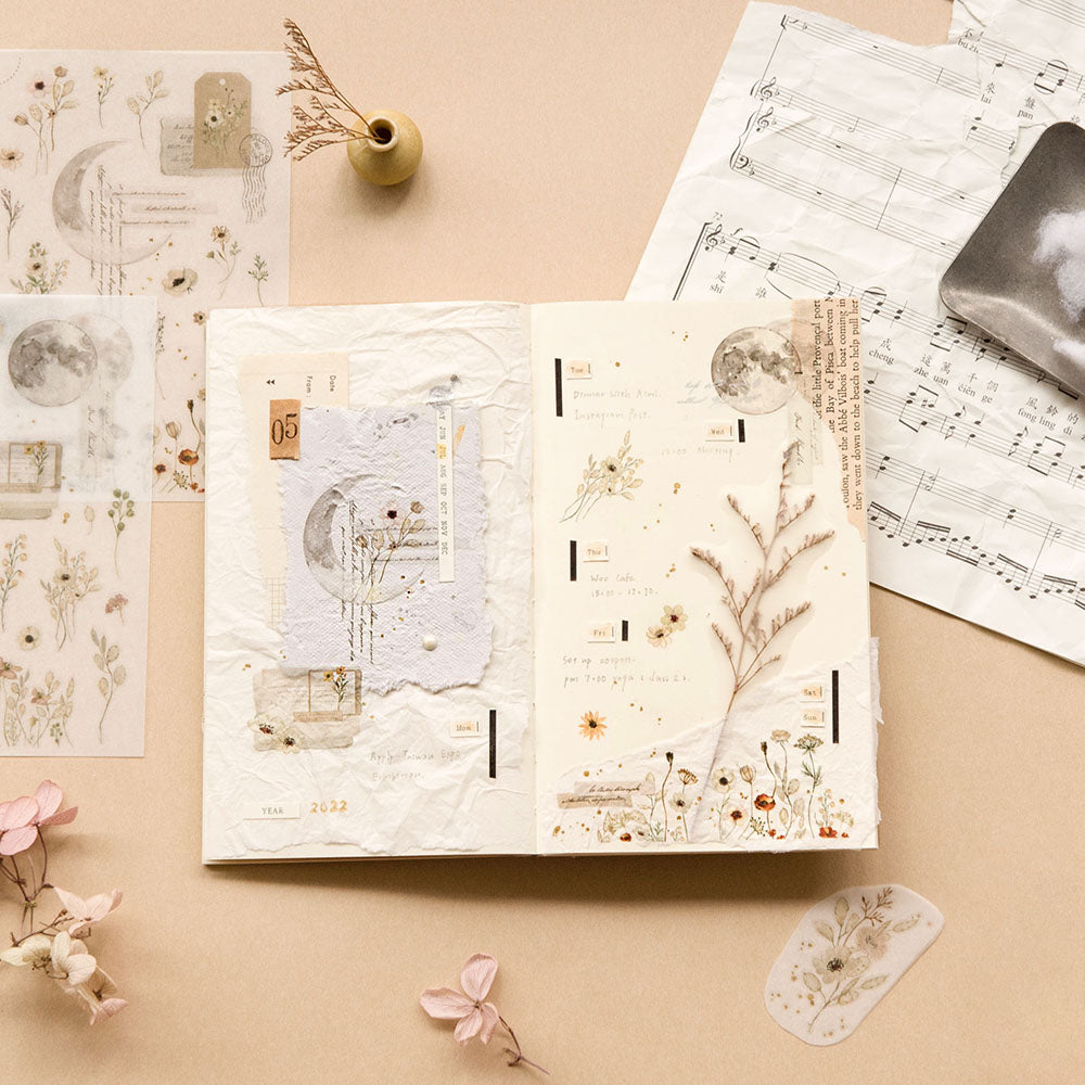 MU LIFESTYLE | Transfers - 200