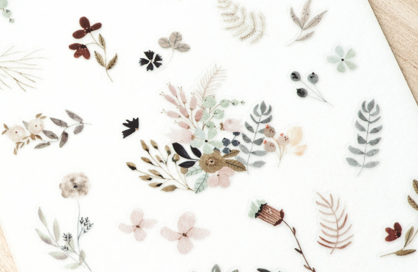 MU LIFESTYLE | Transfers - 202