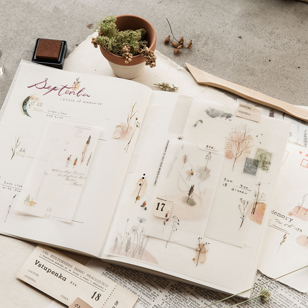 MU LIFESTYLE | Transfers - 206