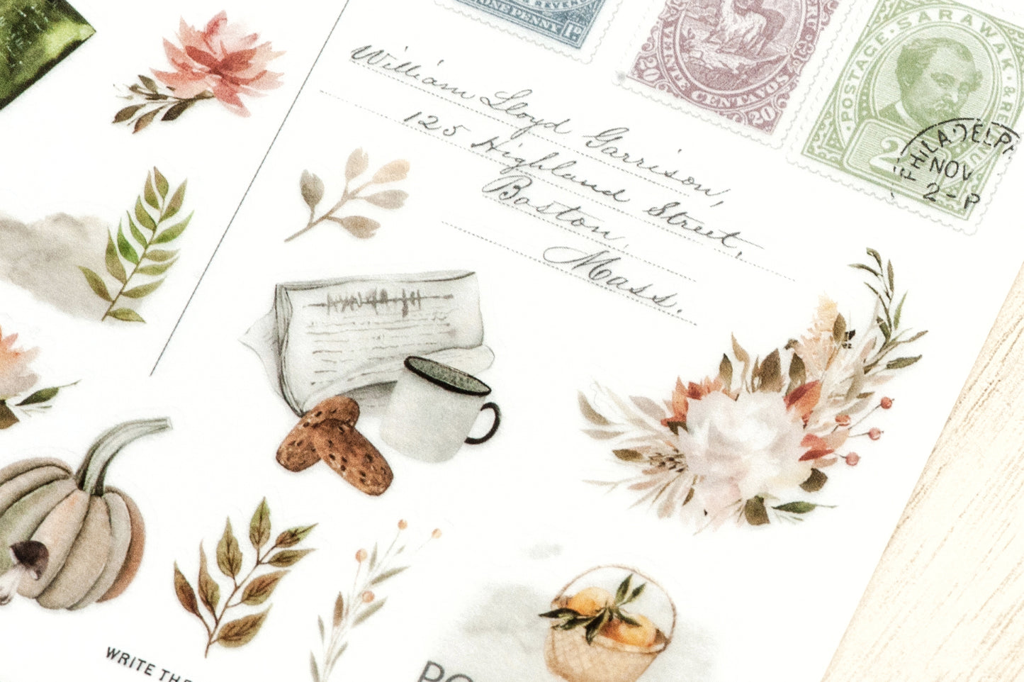 MU LIFESTYLE | Transfers - 207