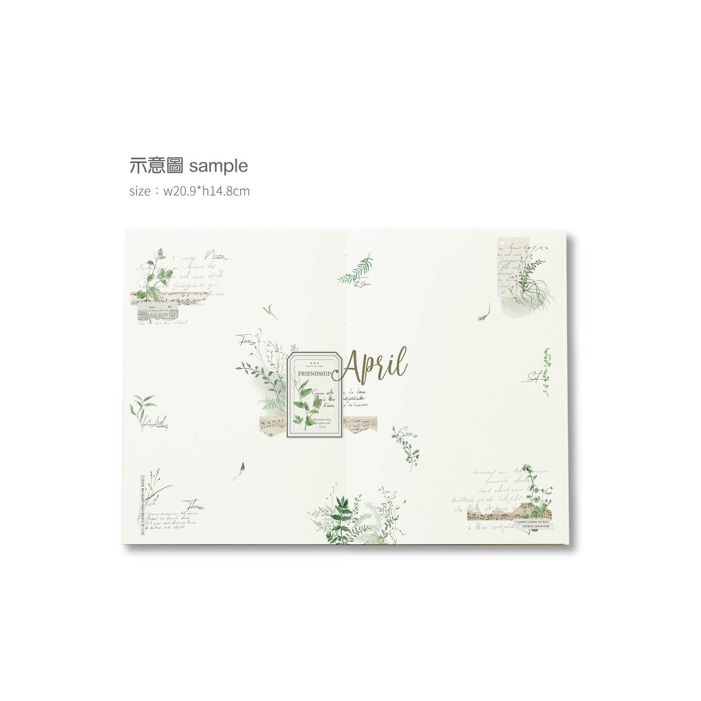 MU LIFESTYLE | Transfers - 219