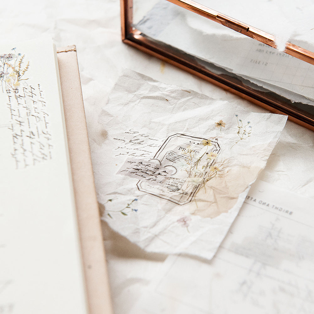 MU LIFESTYLE | Transfers - 220