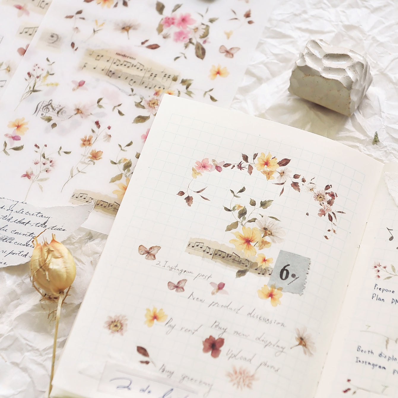 MU LIFESTYLE | Transfers - 234