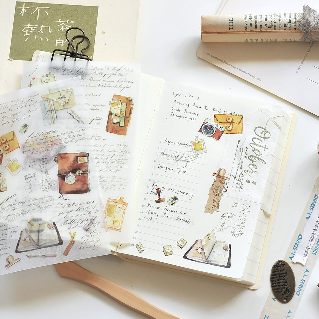 MU LIFESTYLE | Transfers - 238