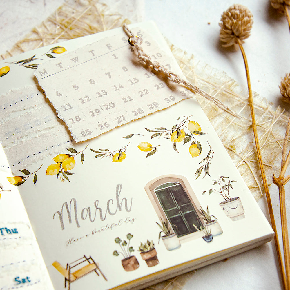 MU LIFESTYLE | Transfers - 245