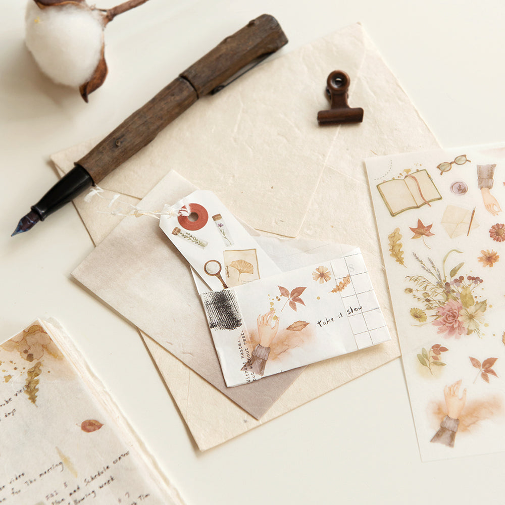 MU LIFESTYLE | Transfers - 254