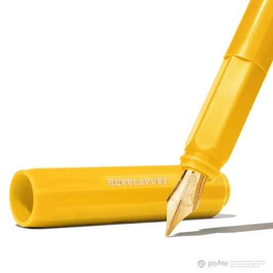 Licencias oficiales | Warner Bros. | Harry Potter | Carousel Fountain Pen and 10ml Ink Set | Hufflepuff