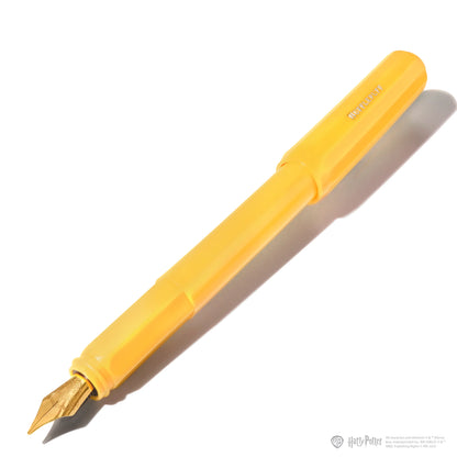 Licencias oficiales | Warner Bros. | Harry Potter | Carousel Fountain Pen and 10ml Ink Set | Hufflepuff